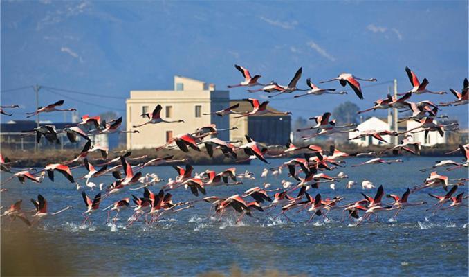Вілла Lo Trabucador Casa Nueva En El Corazon Del Delta Ель-Побле-Ноу-дель-Дельта Екстер'єр фото